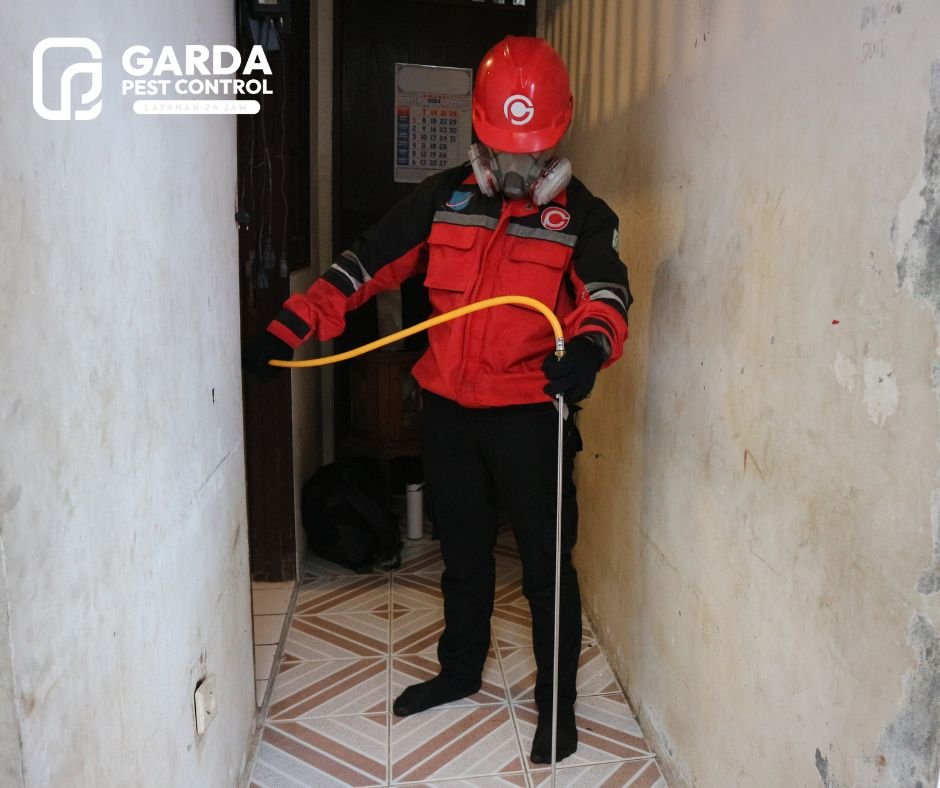 Jasa Anti Rayap Semarang Profesional: Garda Pest Control Basmi Tuntas Rayap, Jaminan Properti Aman!