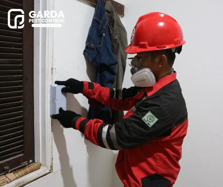 Jasa Anti Rayap Semarang Profesional: Garda Pest Control Basmi Tuntas Rayap, Jaminan Properti Aman!