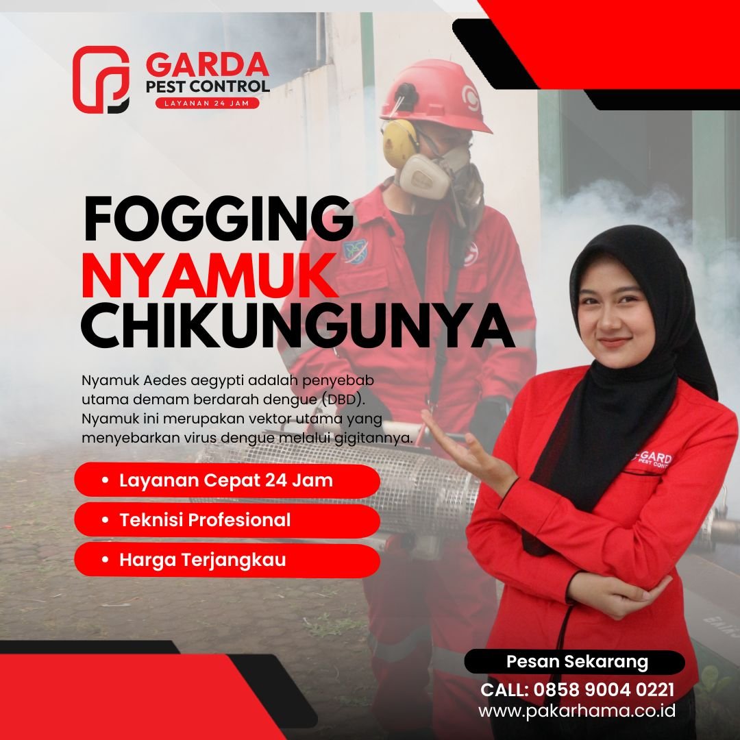 Jasa Fogging Nyamuk Chikungunya di Pekalongan Termurah No.1