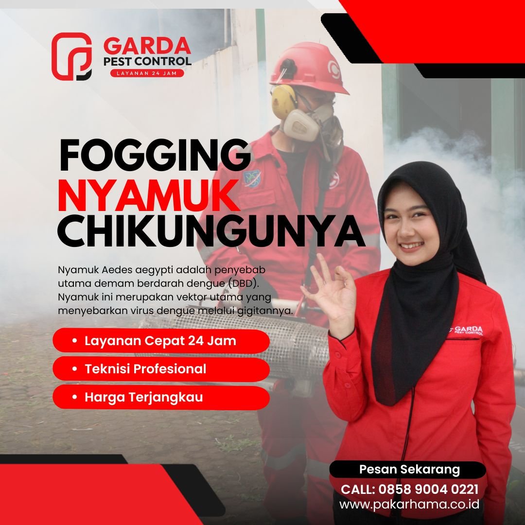 Tukang Fogging Nyamuk Terdekat di Tangerang Basmi Nyamuk DBD Tukang Fogging Nyamuk Terdekat di Tangerang Basmi Nyamuk DBD