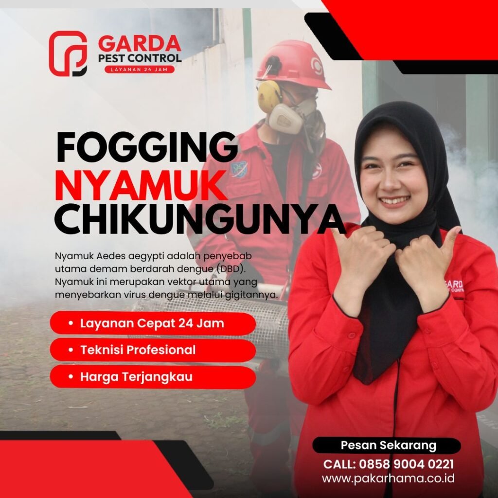 Jasa Fogging Nyamuk DBD di Tangsel Profesional Cepat dan Aman