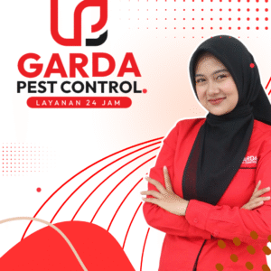 Jasa Pembasmi Rayap Terdekat di Bandung