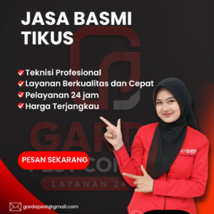 ahli basmi tikus terdekat