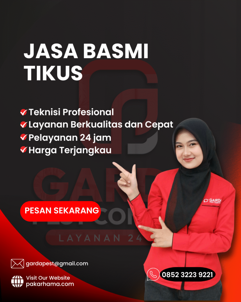 Jasa Pembasmi Tikus di Plafon Rumah Tuntas Sampai Tidak Kembali