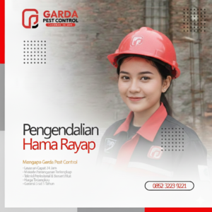 Jasa Anti Rayap Terdekat