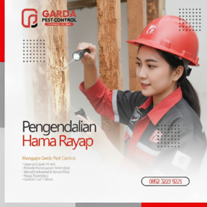 Jasa Suntik Rayap Terbaik