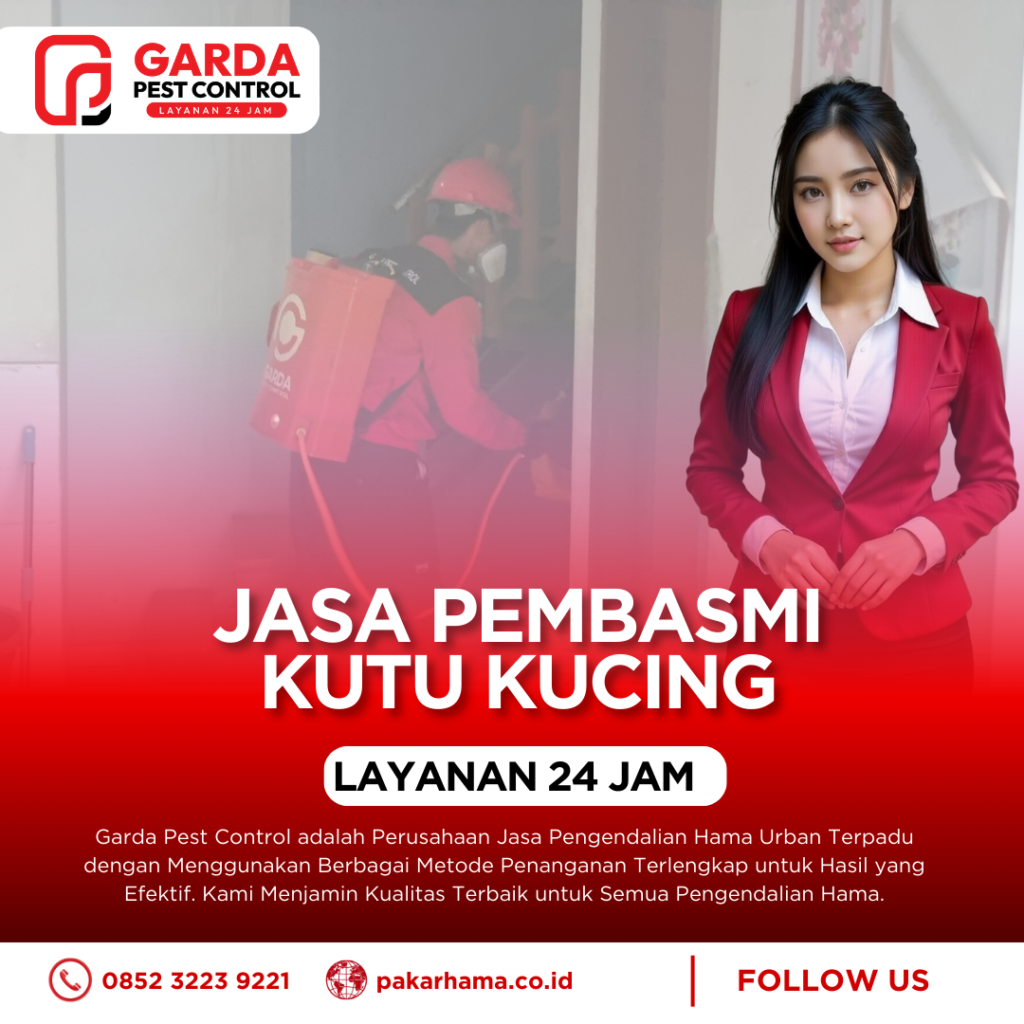 Jasa Pembasmi Kutu Kucing di Sofa, Karpet, dan Area Bermain Anabul