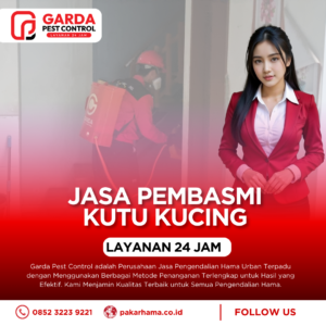 Jasa Pembasmi Kutu Kucing di Sofa, Karpet, dan Area Bermain Anabul