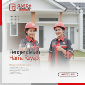 Perusahaan Jasa Anti Rayap di Yogyakarta dan Sekitarnya