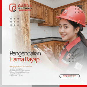 Jasa Anti Rayap di Tegal - Solusi Basmi Rayap Terbaik No.1