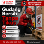 Harga Jasa Pembasmi Tikus Cirebon Terlengkap & Rincian Biaya