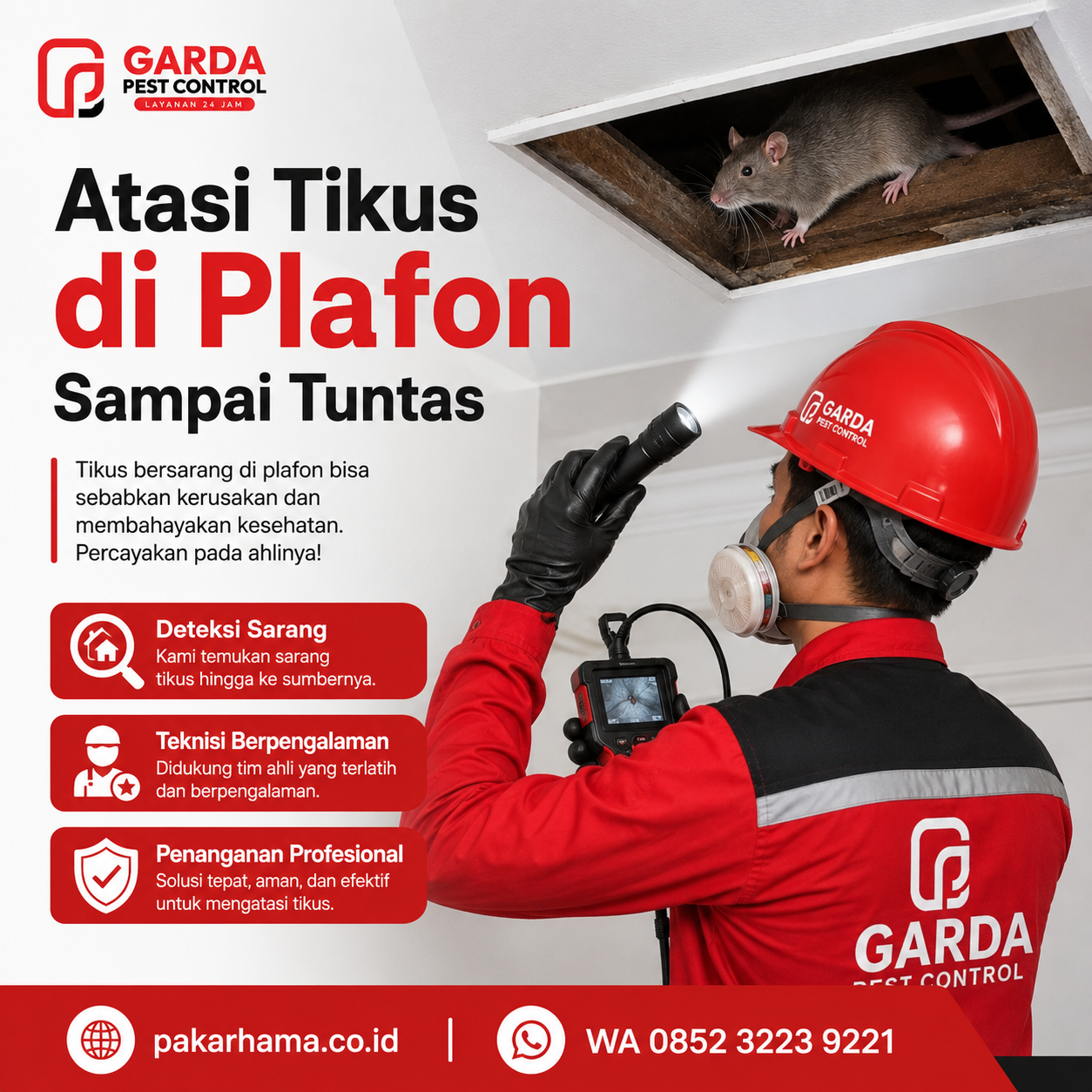 Jasa Pembasmi Tikus Cirebon Terdekat: Penanganan Hama Rumah dan Tempat Usaha